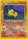 Image de la carte Feunard lumineux 50/105
