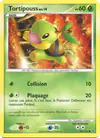 Image de la carte Tortipouss 101/127