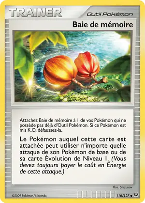 Baie de m&eacute;moire 110/127
