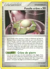 Image de la carte Fossile crâne 120/127