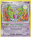 Image de la carte Papinox 25/127