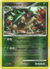 Image de la carte Torterra 39/127