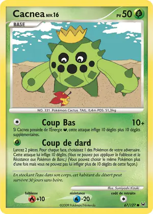Cacnea 67/127