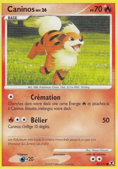 Image de la carte Pokemon Caninos 63/111