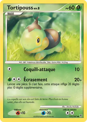 Tortipouss 131/147