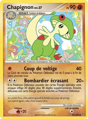 Chapignon 52/147
