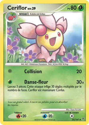 Ceriflor 55/147