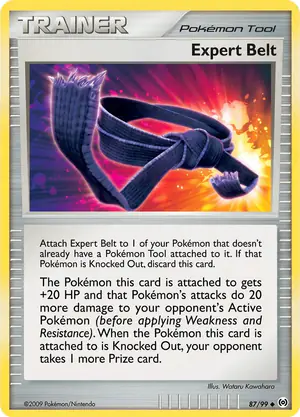 Expert Belt 87/99