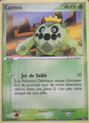 Image de la carte Cacnea 13/17