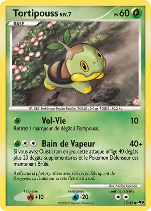 Tortipouss 17/17
