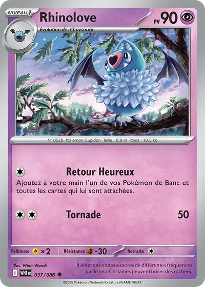 Image de la carte Pokemon Rhinolove 037/86