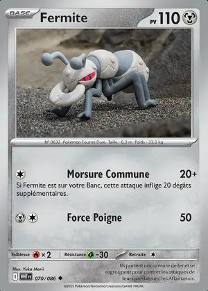 Fermite 070/086
