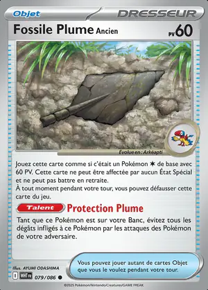 Fossile Plume Ancien 079/086