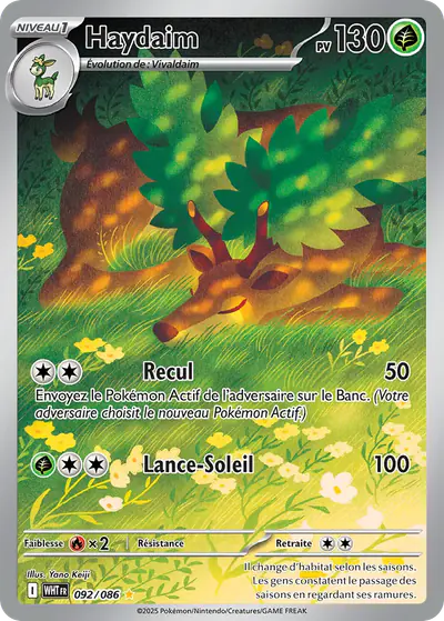 Image de la carte Pokemon Haydaim 092/86