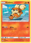 Image de la carte Caninos 21/149