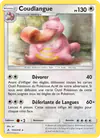 Image de la carte Coudlangue 153/214