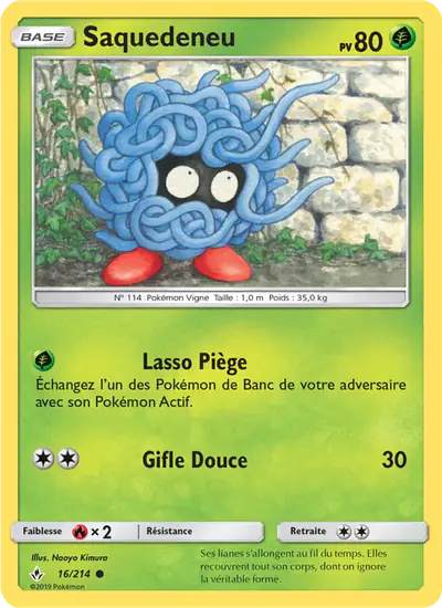 Image de la carte Pokemon Saquedeneu 16/214