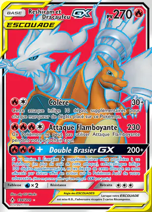 Reshiram et Dracaufeu GX 194/214