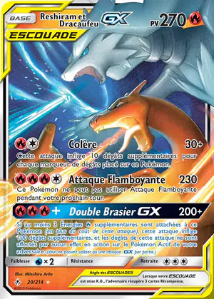 Reshiram et Dracaufeu GX 20/214