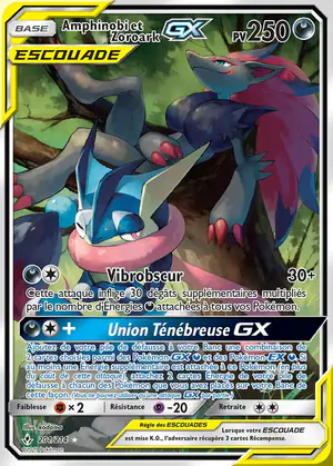 Amphinobi et Zoroark GX 201/214