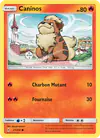 Image de la carte Caninos 21/214