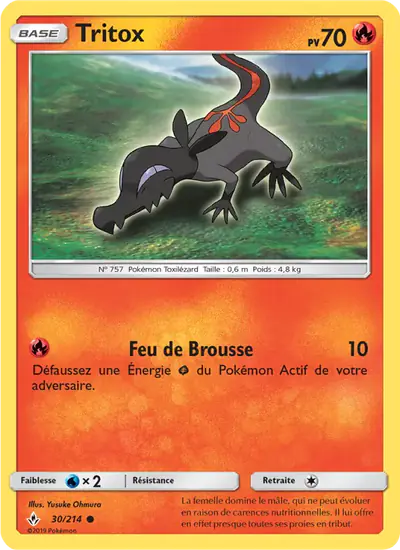 Image de la carte Pokemon Tritox 30/214