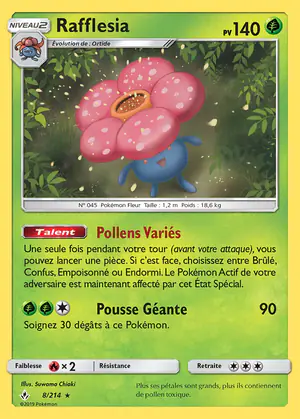 Rafflesia 8/214