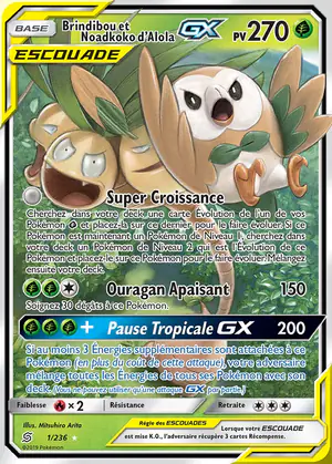 Brindibou et Noadkoko d'Alola GX 1/236