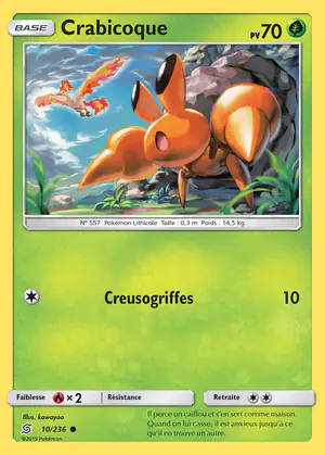 Crabicoque 10/236