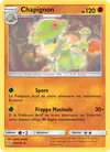 Image de la carte Chapignon 108/236