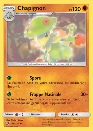 Chapignon 108/236