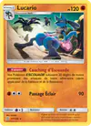 Image de la carte Lucario 117/236
