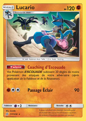 Lucario 117/236