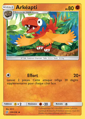 Ark&eacute;apti 120/236
