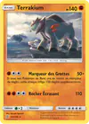 Image de la carte Terrakium 122/236