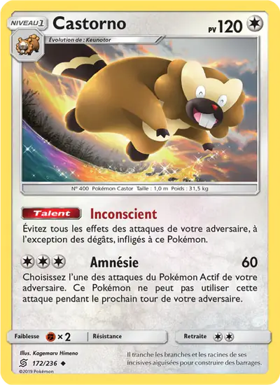 Image de la carte Pokemon Castorno 172/236