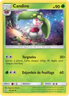 Image de la carte Candine 18/236