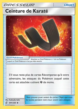 Ceinture de Karat&eacute; 201/236
