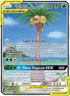 Image de la carte Brindibou et Noadkoko d'Alola GX 215/236