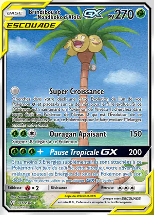 Brindibou et Noadkoko d'Alola GX 215/236