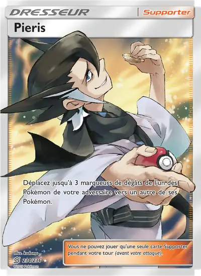 Image de la carte Pokemon Pieris 234/236