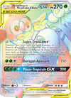 Image de la carte Brindibou et Noadkoko d'Alola GX 237/236