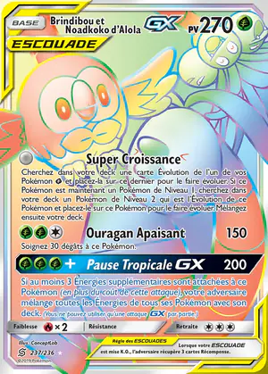 Brindibou et Noadkoko d'Alola GX 237/236