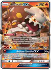 Image de la carte Heatran GX 25/236