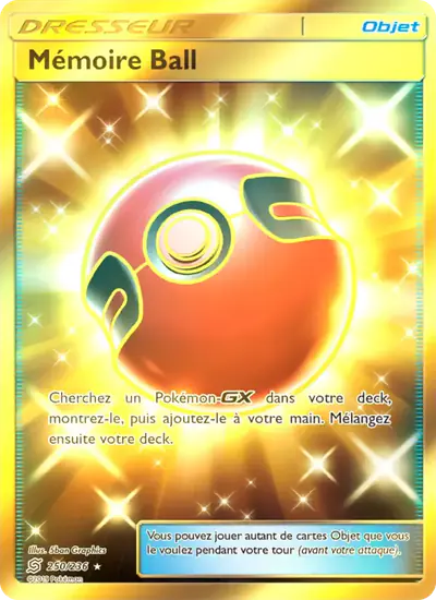 Image de la carte Pokemon Mémoire Ball 250/236