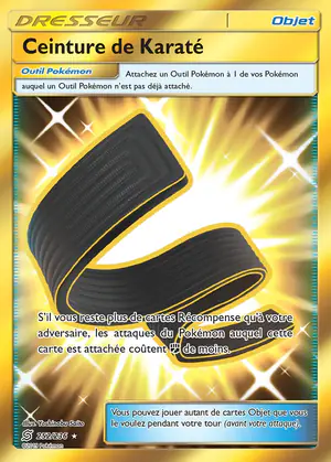 Ceinture de Karat&eacute; 252/236