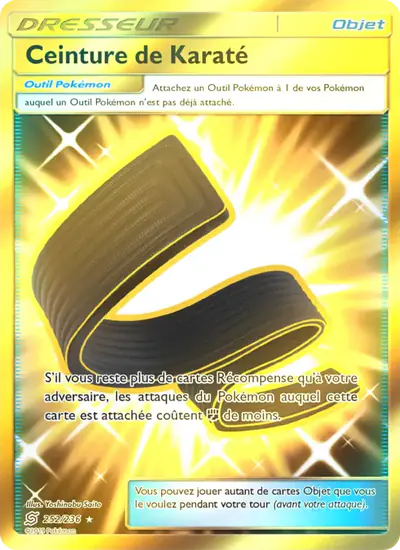 Image de la carte Pokemon Ceinture de Karaté 252/236