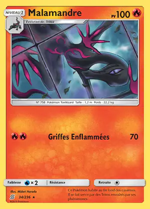 Malamandre 34/236