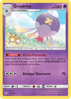 Image de la carte Grodrive 81/236