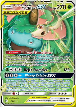 Florizarre et Vip&eacute;lierre GX 1/236